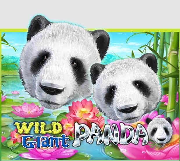 918kiss Wild Giant Panda เกมสล็อต ออนไลน์ ได้เงินจริง168