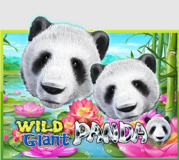 918kiss Wild Giant Panda สล็อต เครดิตฟรี 100 ไม่ต้องแชร์