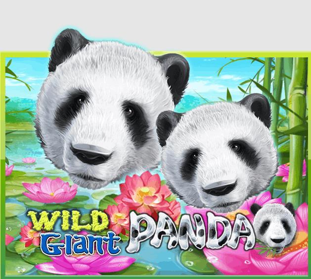 918kiss Wild Giant Panda เกมออนไลน์ได้เงินจริง สมัครเล่นฟรี