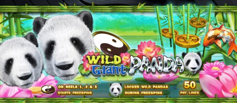 918kiss Wild Giant Panda สล็อต เว็บตรง ฝากถอน ไม่มี ขั้นต่ำ